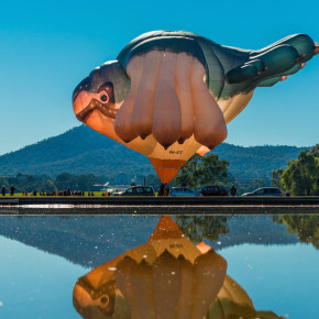 Небесный тихоход Sky Whale Небесный тихоход Sky Whale