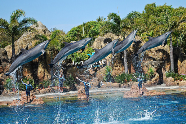 sea_world