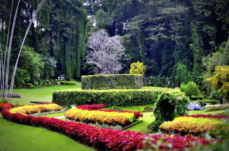 Asian garden in bristow