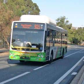 Автобусы в Канберре